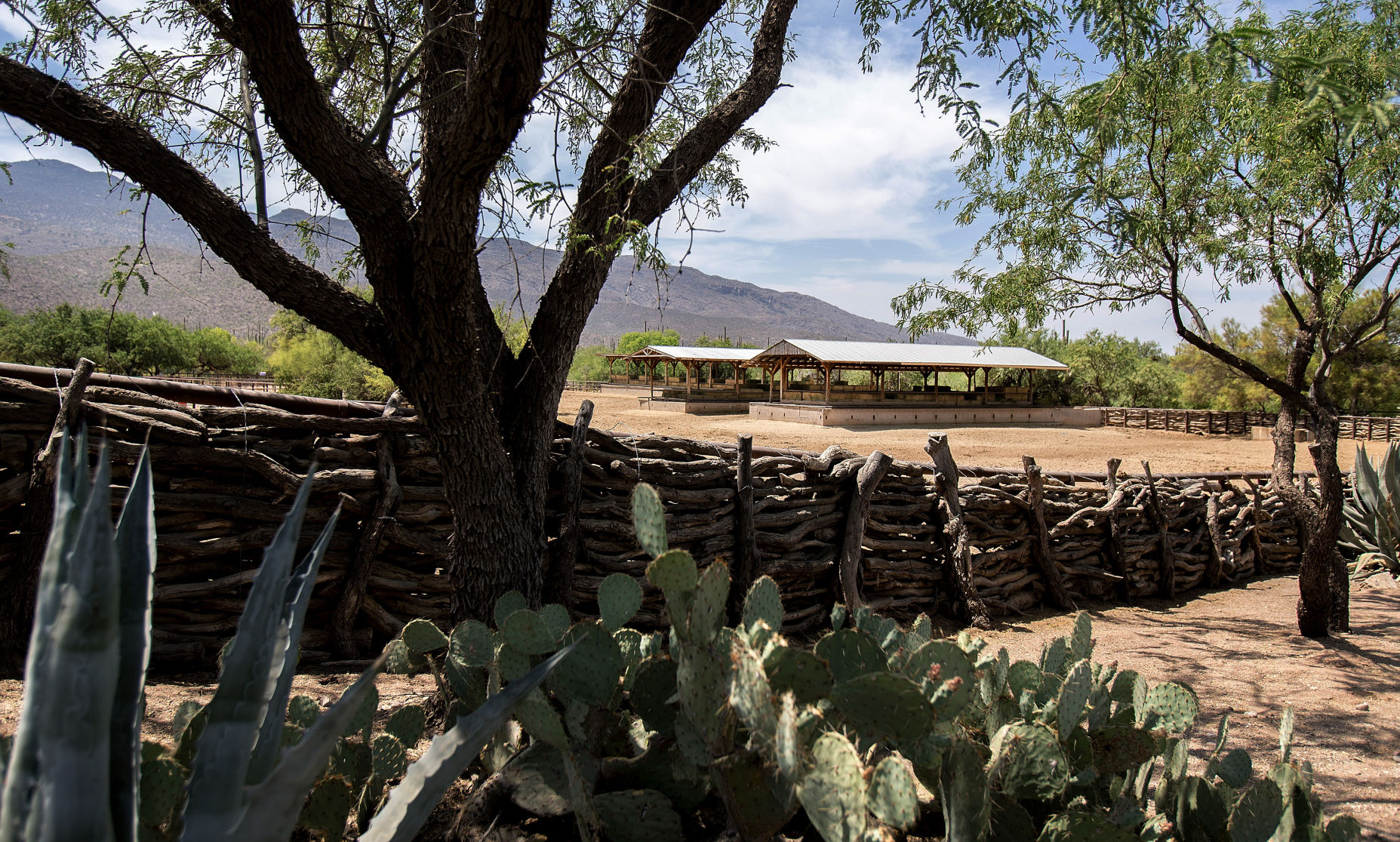 Tanque Verde Ranch